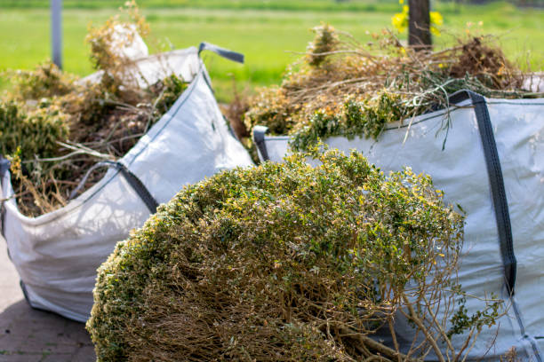 Best Mattress Removal Service  in Whiteriver, AZ